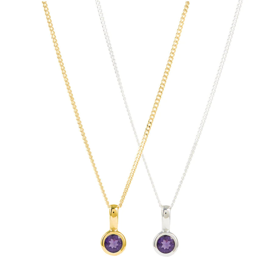Amethyst Birthstone Charm pendant necklace