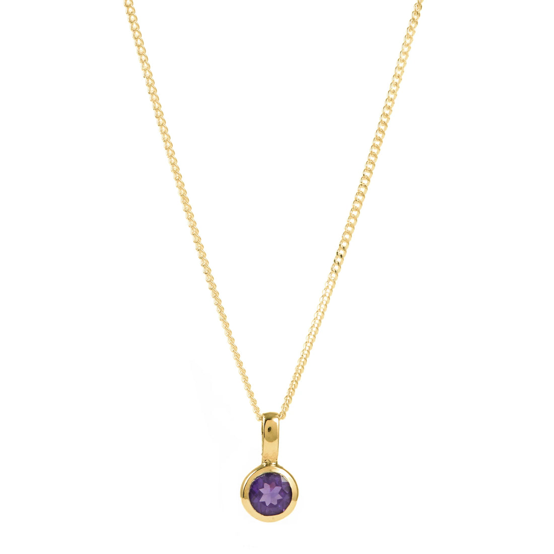 Amethyst Birthstone Charm pendant necklace