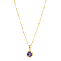 Amethyst Birthstone Charm pendant necklace