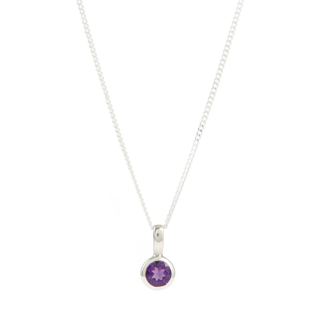 Amethyst Birthstone Charm pendant necklace