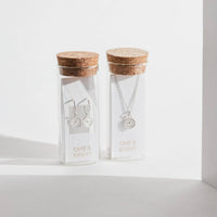 Silver Coin Necklace