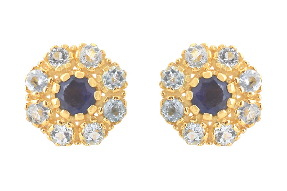 Flora Blue Topaz and Iolite Stud Earrings
