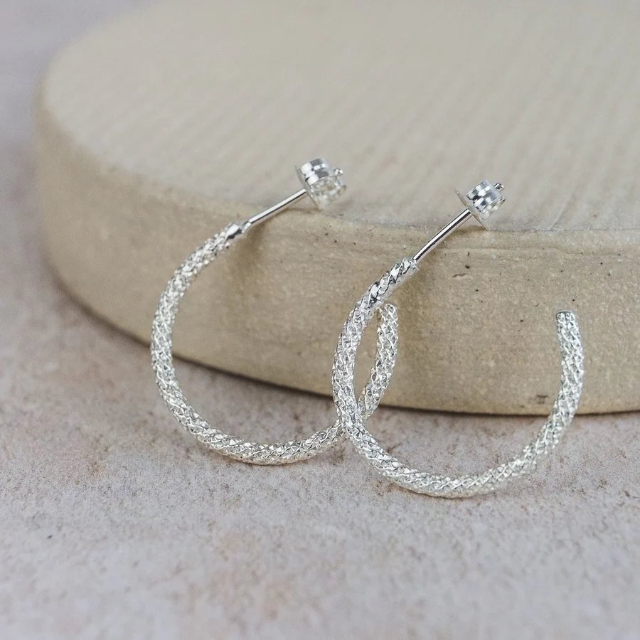 Silver Frosted Hoops