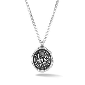 Silver Men's Pheonix Talisman Necklace