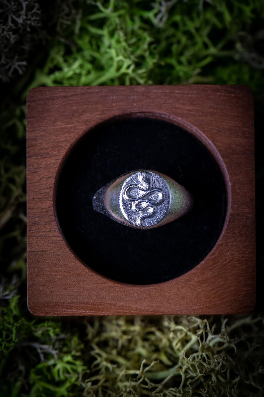 Eden Signet Ring from The Alauna Collections